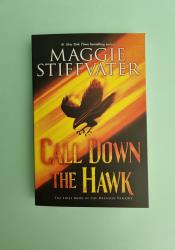 Call Down the Hawk (Dreamer 1) thumb 2 2