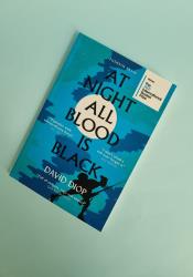 At Night All Blood is Black thumb 2 2