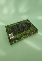 Realm of Wind and Vines (Flame and Thorns Book 4) thumb 2 4