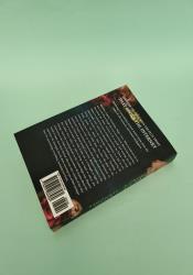 Metal Slinger (Fire & Metal, Band 1) thumb 1 4