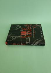 Little Liar (The Web of Silence Duet 2) thumb 2 4