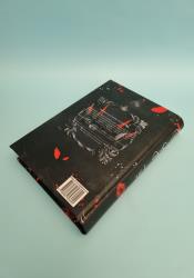 Reign of Stars and Fire (The Broken Kingdoms Book 8) thumb 2 4