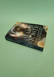 Avalon Tower (Fey Spy Academy Book 1) thumb 2 3