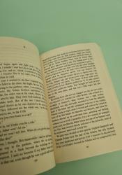 My Brilliant Friend (Neapolitan Novels, 1) thumb 2 6