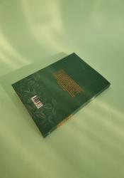 Holly: A Belladonna Novella Holly: A Belladonna Novella thumb 2 5