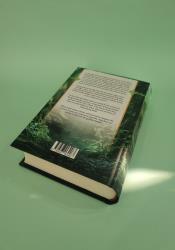 Blood and Bone (The Malazan Empire 5) thumb 2 4