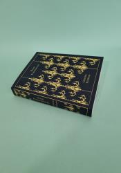 Great Expectations thumb 1 3