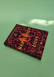 A Marvellous Light (The Last Binding 1) thumb 1 3