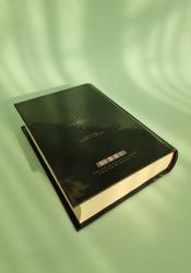 Omniscient Reader’s Viewpoint Volume 6 thumb 2 4