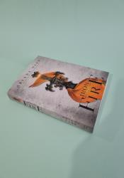 Iron & Fire  (Silk and Steel 2) thumb 1 3