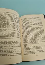 A Shadow in the Ember (Flesh and Fire 1) thumb 1 6