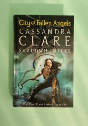 City of Fallen Angels (The Mortal Instruments, Book 4) thumb 2 2