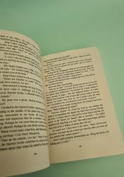The Knight and the Moth (The Stonewater Kingdom 1) thumb 2 5