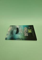 Destroy Me (Shatter Me 1.5) thumb 2 4