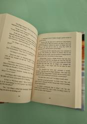 Thrice Married to a Salted Fish Vol. 1 thumb 2 7