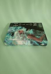 Hollow (Crown of Hearts and Chaos Book 1) thumb 1 4