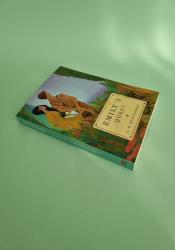 Emily's Quest (The Emily Trilogy Book 3) Emily's Quest (The Emily Trilogy Book 3) thumb 2 3