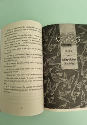 Heaven Official's Blessing: Tian Guan Ci Fu (Novel) Vol. 6 thumb 2 6