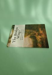 The Broken Wings thumb 1 4