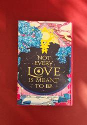 The Ballad of Never After (Once Upon a Broken Heart 2) thumb 2 4