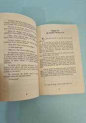 Case File Compendium: Bing An Ben (Novel) Vol. 2 thumb 2 6