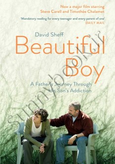 Beautiful Boy: A Father's Journey Through His Son's Addiction thumb 1 1