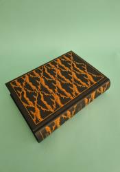 Metamorphoses thumb 1 5