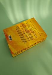 The Rose Field (The Book of Dust 3) The Rose Field (The Book of Dust 3) thumb 2 5