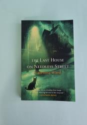 The Last House on Needless Street thumb 1 2