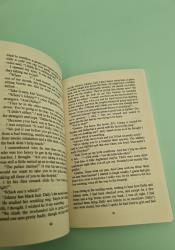 The Outsiders thumb 2 6