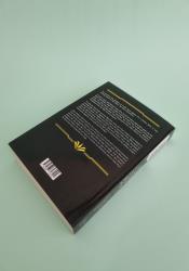 Star Wars: Temptation of the Force thumb 2 5