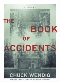 The Book of Accidents thumb 2 1