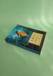 Emily of New Moon (The Emily Trilogy Book 1) Emily of New Moon (The Emily Trilogy Book 1) thumb 1 3