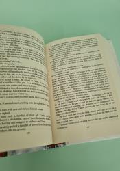 Ruin (The Faithful and the Fallen, 3) thumb 1 5