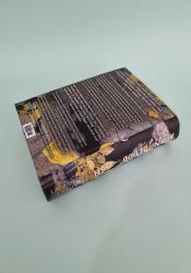 Born of Blood and Ash (Flesh and Fire 4) thumb 2 5