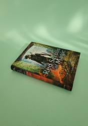 The Red Scrolls of Magic (The Eldest Curses 1) thumb 2 3