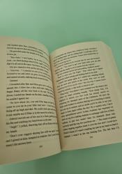 Vicious Fae (Ruthless Boys of the Zodiac 3) thumb 2 6