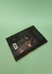 An Enchantment of Ravens thumb 2 6