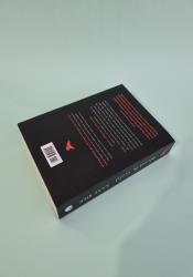 Blood And Gold (The Vampire Chronicles 8) thumb 1 5