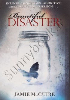 Beautiful Disaster (Beautiful 1)