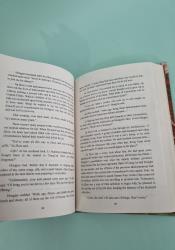 Legend of Exorcism: Tianbao Fuyao Lu (Novel) Vol. 3 thumb 2 7