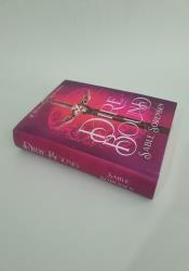 Direbound: A Dark Romantasy (The Wolves of Ruin Book 1) thumb 1 3