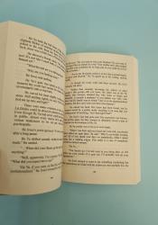 Case File Compendium: Bing An Ben (Novel) Vol. 3 thumb 2 7