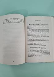 Remnants of Filth: Yuwu (Novel) Vol. 7 thumb 2 6