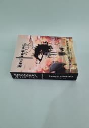 The Beginning After The End: Transcendence, Book 6 thumb 2 4