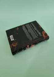 A Curse of Blood & Stone (Fate & Flame 2) thumb 2 5