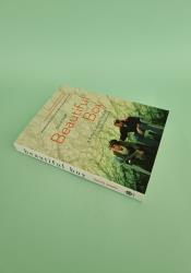 Beautiful Boy: A Father's Journey Through His Son's Addiction thumb 1 3