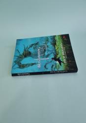 The Beginning After The End: New Heights, Book 2 thumb 1 4