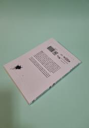 Bungo Stray Dogs, Vol. 6 (light novel) thumb 1 4