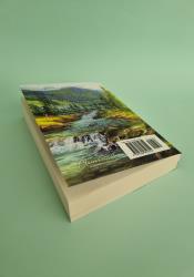 Rushing In (Bailey Brothers #4) thumb 2 4